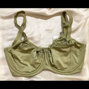 Delimira Olive Green Full Coverage Bra